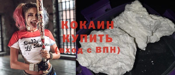 дживик Абаза