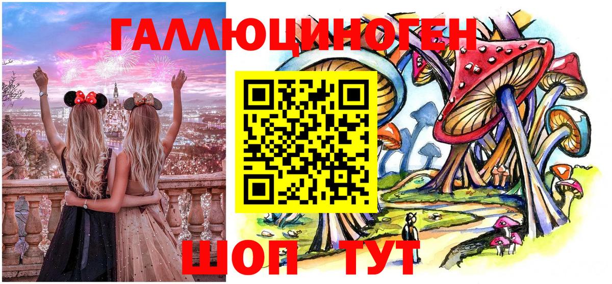 Тында  цена наркотик  Псилоцибиновые грибы Magic Shrooms  Вход с VPN  Псилоцибиновые грибы Psilocybe 